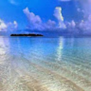 Meet your Posher, Carissa